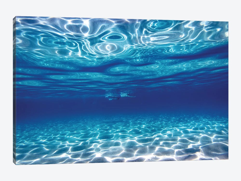 Swim In Blue by Sean Davey 1-piece Canvas Art