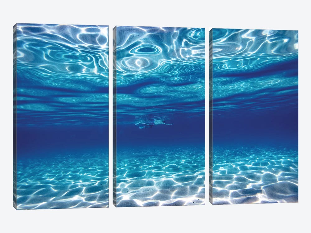 Swim In Blue by Sean Davey 3-piece Canvas Wall Art