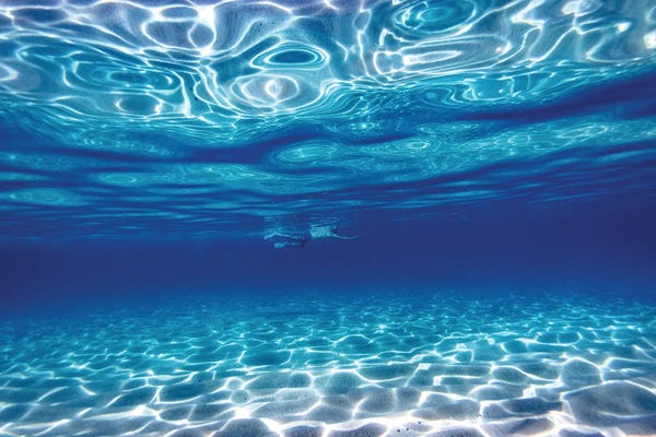 Sean Davey: Swim In Blue by Sean Davey