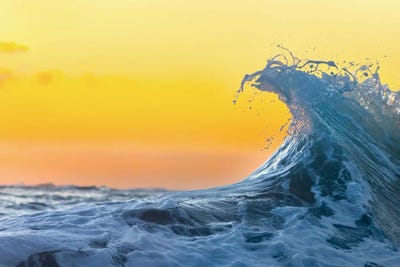 Tangerine Peel by Sean Davey art print