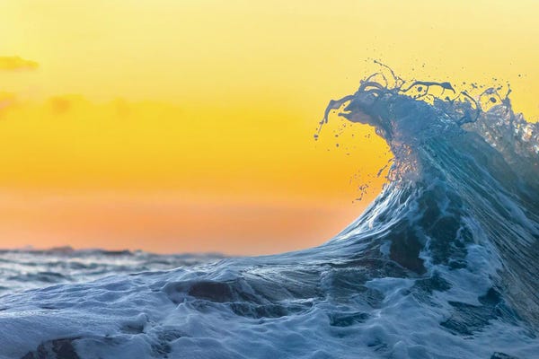 Sean Davey: Tangerine Peel by Sean Davey