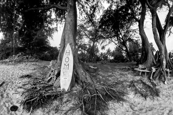 Sean Davey: The Playground by Sean Davey