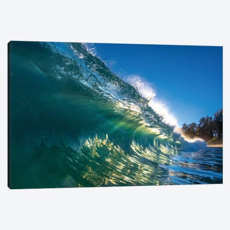 Touch Of Glass Canvas Print #SDV239} by Sean Davey Canvas Art
