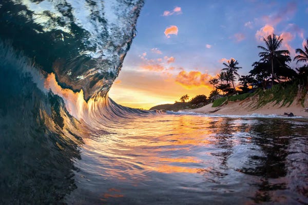 Sean Davey: Tropical Smoothie by Sean Davey