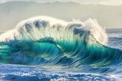 Verticurl by Sean Davey art print