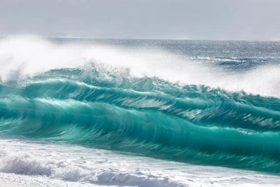 Blue Grinder by Sean Davey art print