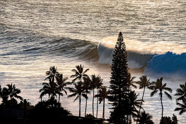 Hawaii: Waimea Silhouettes by Sean Davey
