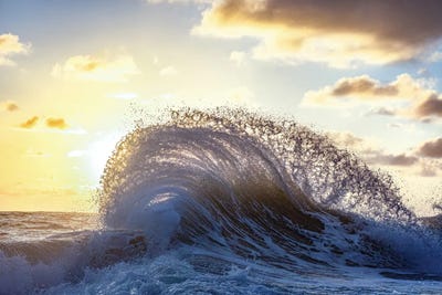 Water Lace by Sean Davey art print