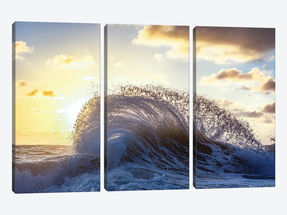 Water Lace by Sean Davey 3-piece Canvas Art Print