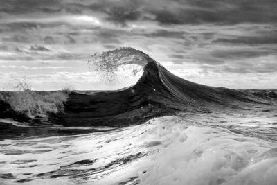 Angler Fish by Sean Davey canvas print