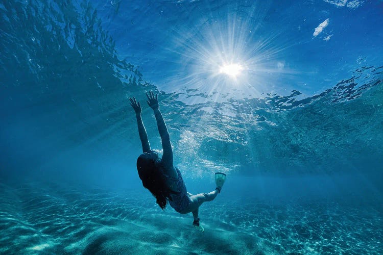 Aqua Joy by Sean Davey wall art