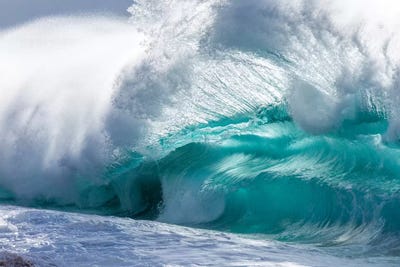 Blue Pounder by Sean Davey art print