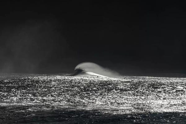 Sean Davey: Black Diamond by Sean Davey