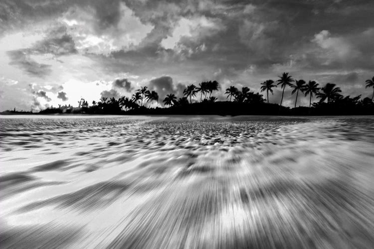 Coconut Rush In Black And White