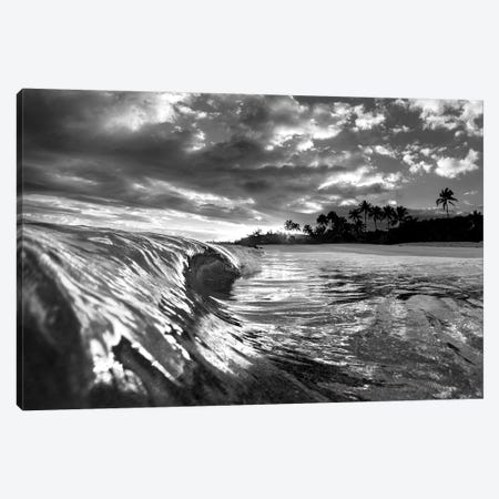 Cosmic Light In Black And Whitew Canvas Print #SDV279} by Sean Davey Canvas Art