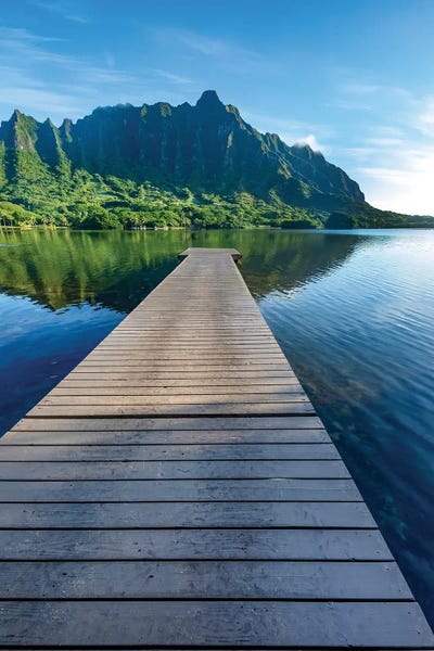 Sean Davey: Dock To Paradise by Sean Davey