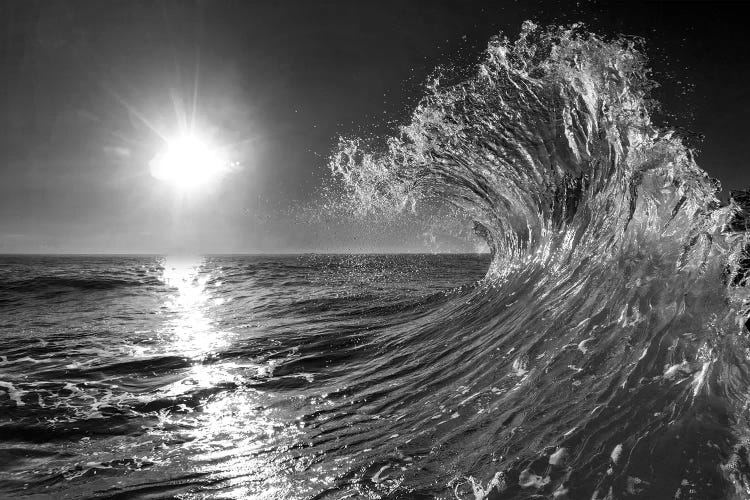 Follow Me In Black And White by Sean Davey wall art