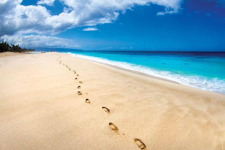 Footprints Of Tranquility by Sean Davey wall art