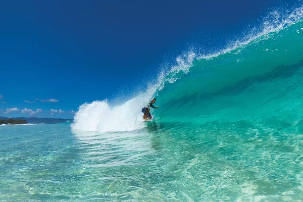 Sean Davey: Green Dream by Sean Davey