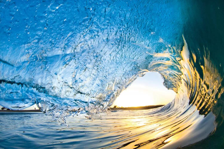 Lemon Chute by Sean Davey wall art