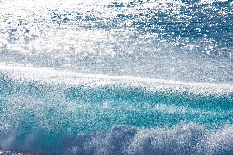 Blue Sheen by Sean Davey wall art
