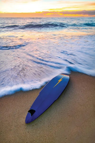 Lopez Stinger Vert by Sean Davey art print