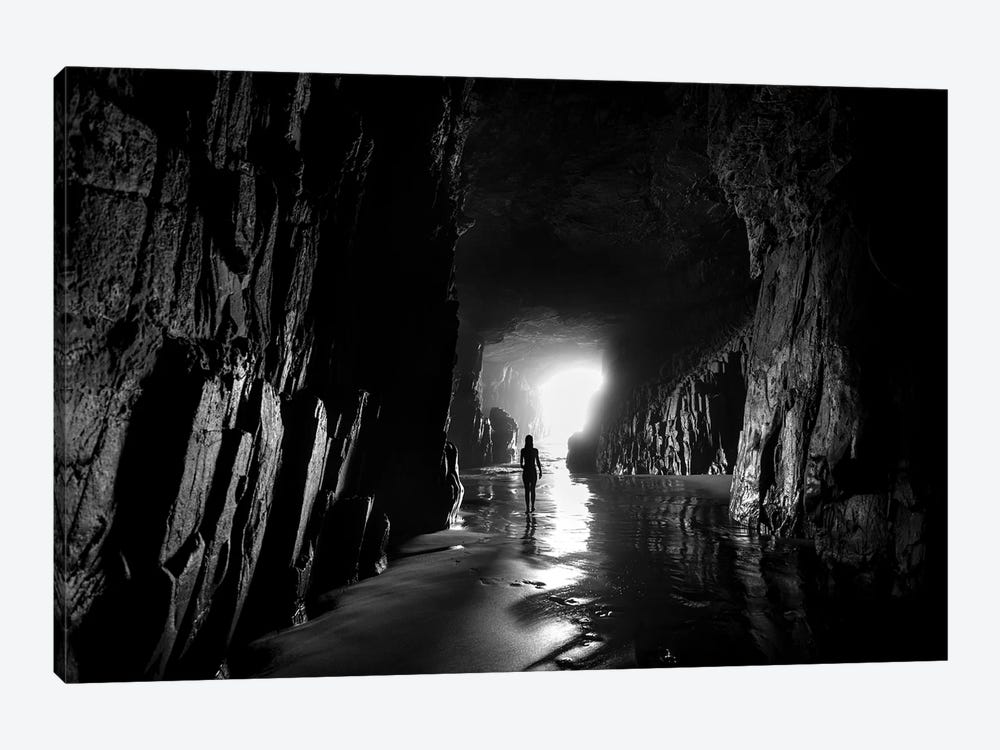Natural Wonder Black And White by Sean Davey 1-piece Canvas Wall Art