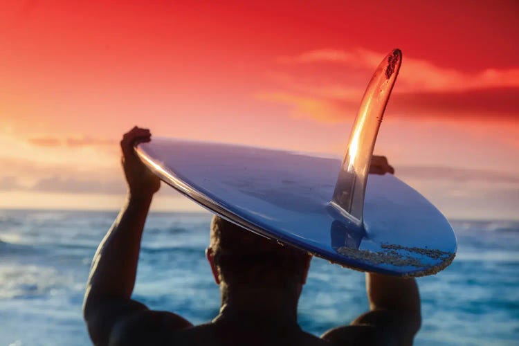 Single Fin Surfer I by Sean Davey wall art