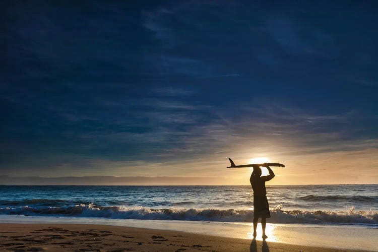 Single Fin Surfer II by Sean Davey wall art
