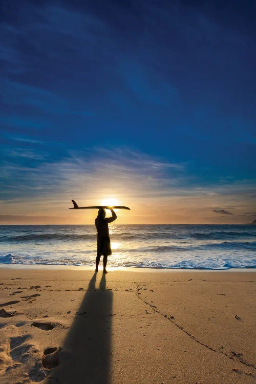 Single Fin Surfer III by Sean Davey wall art