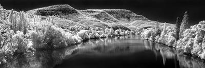 Snowy Norfolk by Sean Davey multi panel art