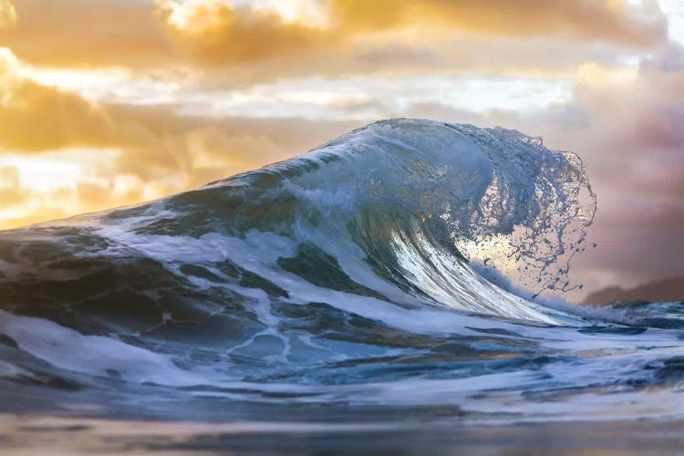 Water Claw by Sean Davey wall art