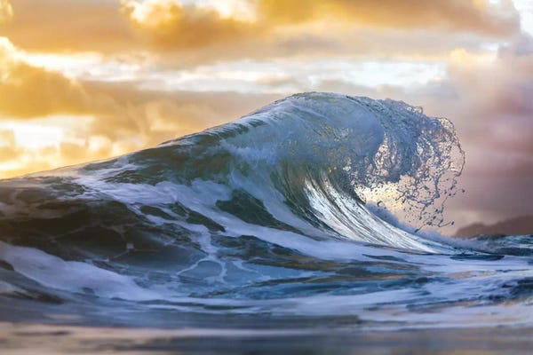 Sean Davey: Water Claw by Sean Davey