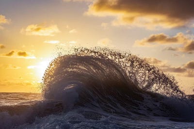 Water Lace by Sean Davey art print