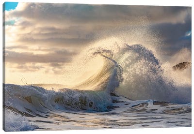 Wave Crash Canvas Art Print - Sean Davey