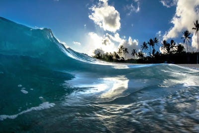 Coastal Surge by Sean Davey art print