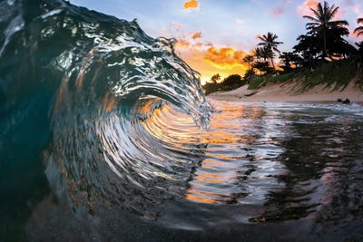 Crystal Dragon by Sean Davey art print