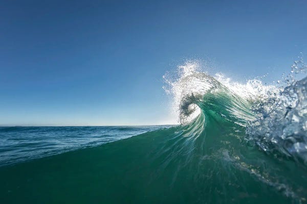 Sean Davey: Curly Top by Sean Davey