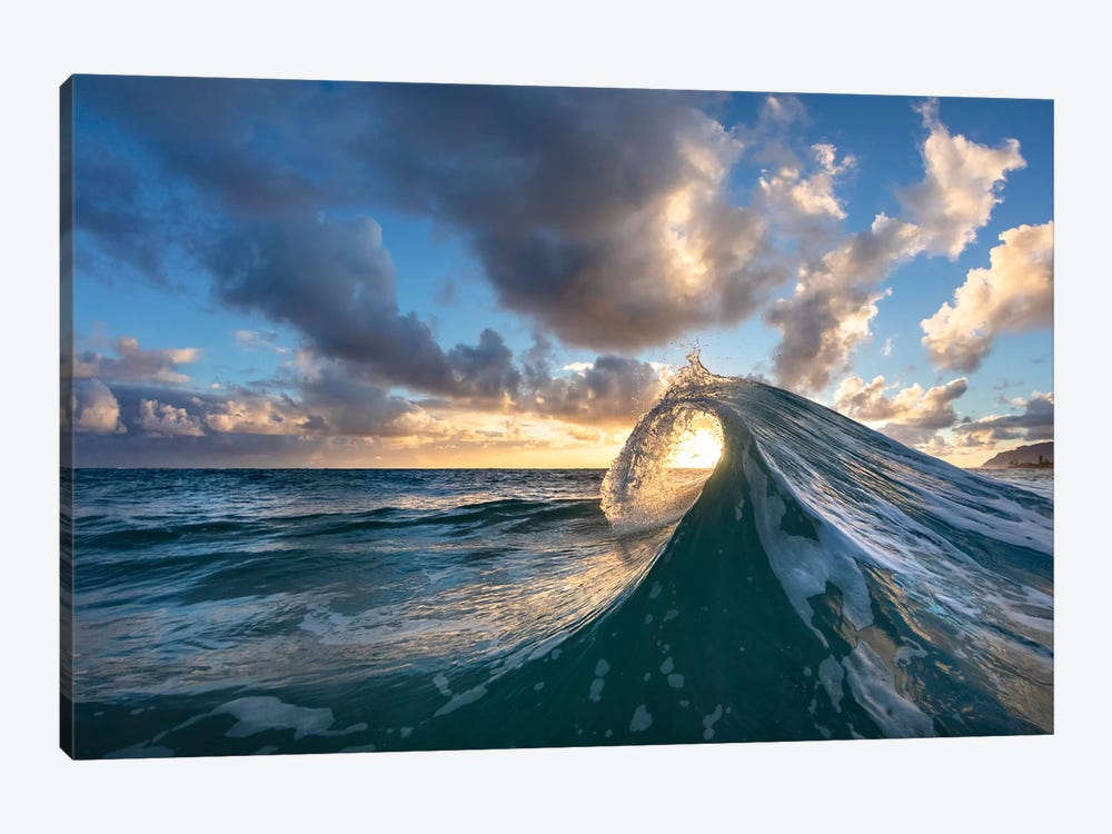 Early Curly by Sean Davey 1-piece Canvas Wall Art