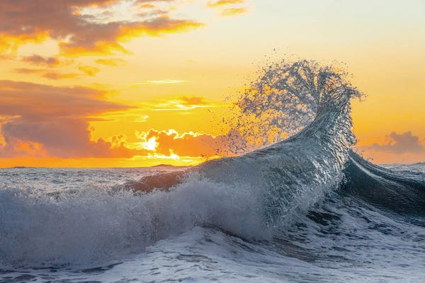 Sean Davey: Fanning The Glow by Sean Davey