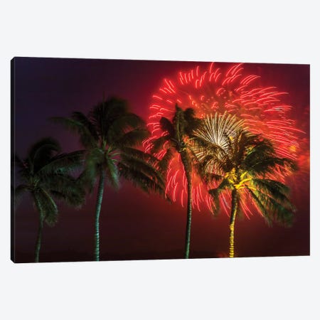 Firework Palms Canvas Print #SDV64} by Sean Davey Art Print