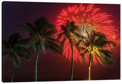 Firework Palms Canvas Art Print - Fireworks