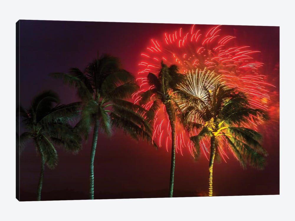 Firework Palms by Sean Davey 1-piece Art Print