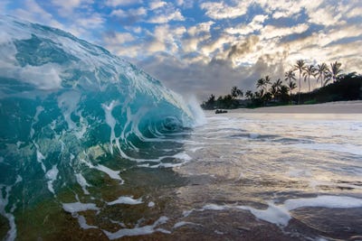 Foam Grinder by Sean Davey art print