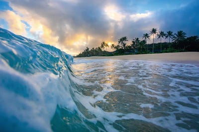 Foam Sunrise by Sean Davey art print