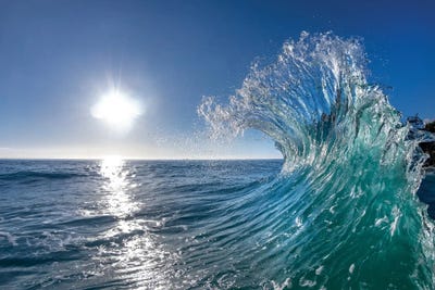 Follow Me by Sean Davey art print