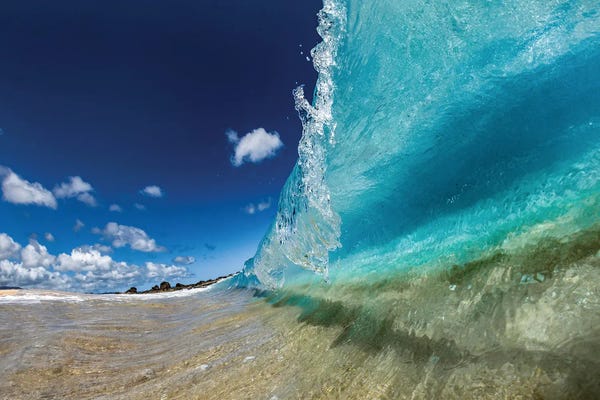 Sean Davey: Aquatic Surge by Sean Davey