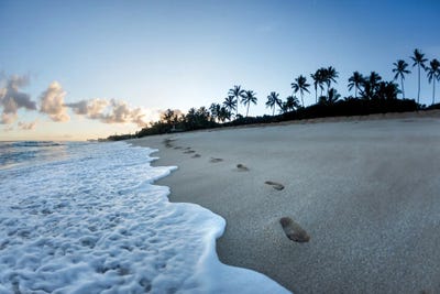 Footsteps To Paradise by Sean Davey art print