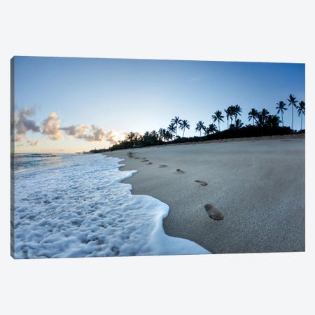 Footsteps To Paradise Canvas Print #SDV90} by Sean Davey Canvas Print