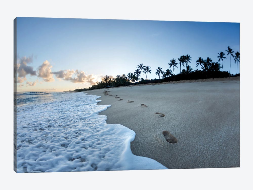 Footsteps To Paradise by Sean Davey 1-piece Canvas Art